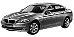 BMW F10 P3196 Fault Code